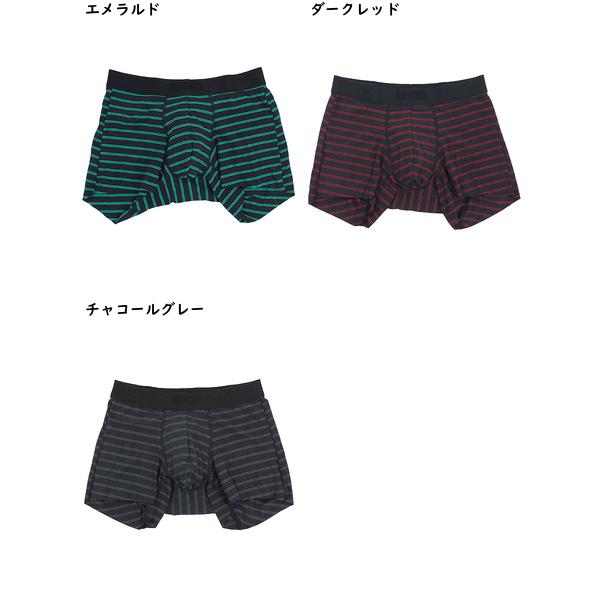 グンゼ BODYWILD メンズボクサーパンツ 前とじ  切りっぱなし ボーダー柄  日本製 年間 BWW002A GUNZE [M、L、LLサイズ] 紳士 インナー | BODY WILD | 04