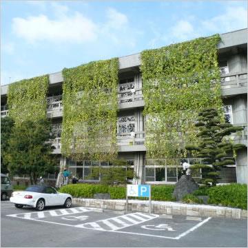 緑のカーテン 標準1式 | 