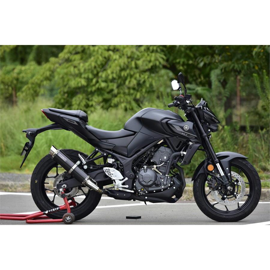 BEAMS（ビームス） BEAMS R-EVO2 カーボンサイレンサー YZF R-25 / MT