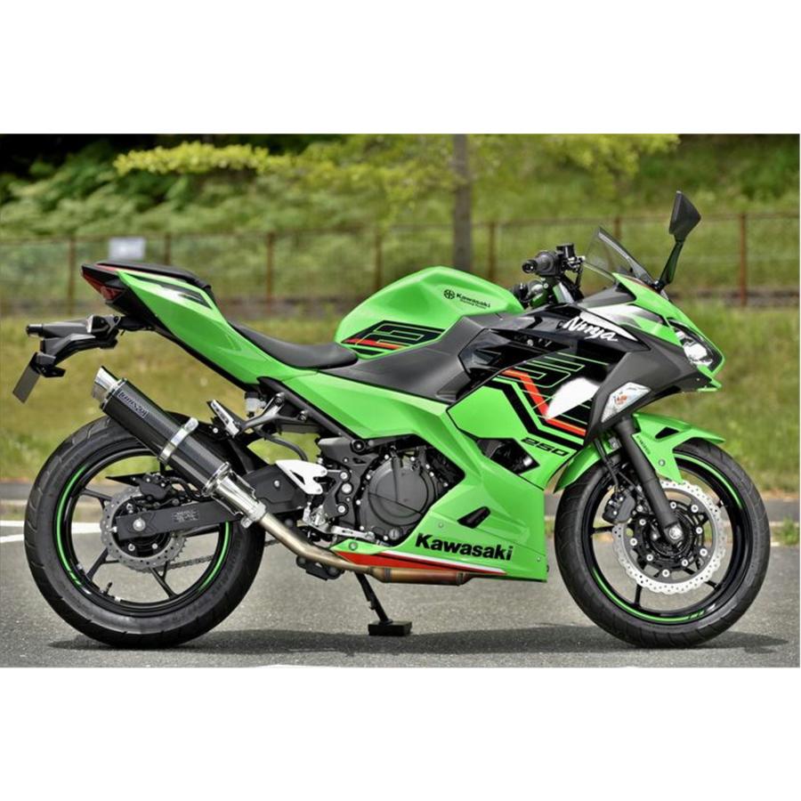 BEAMS（ビームス） BEAMS R-EVO2 カーボン Ninja250/Z250 2018〜 2BK
