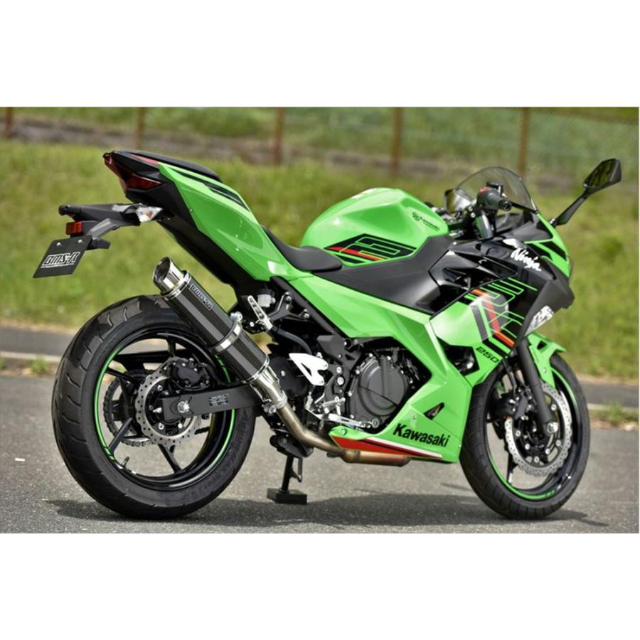 BEAMS（ビームス） BEAMS R-EVO2 カーボン Ninja250/Z250 2018〜 2BK