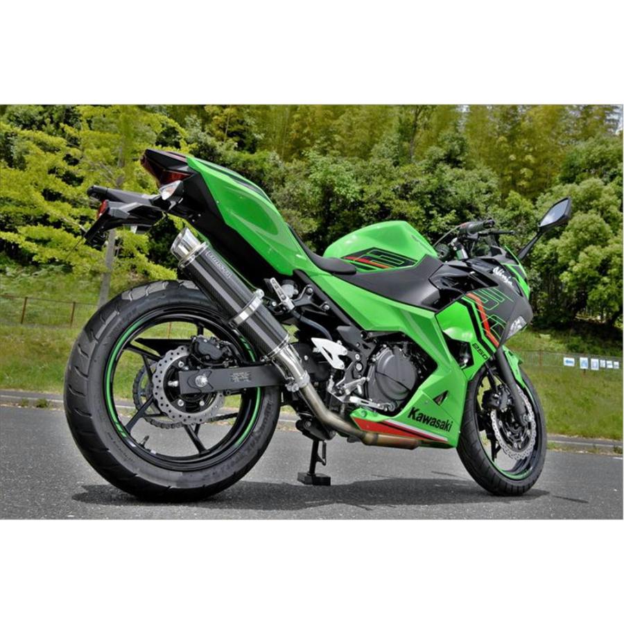 BEAMS（ビームス） BEAMS R-EVO2 カーボン Ninja250/Z250 2018〜 2BK