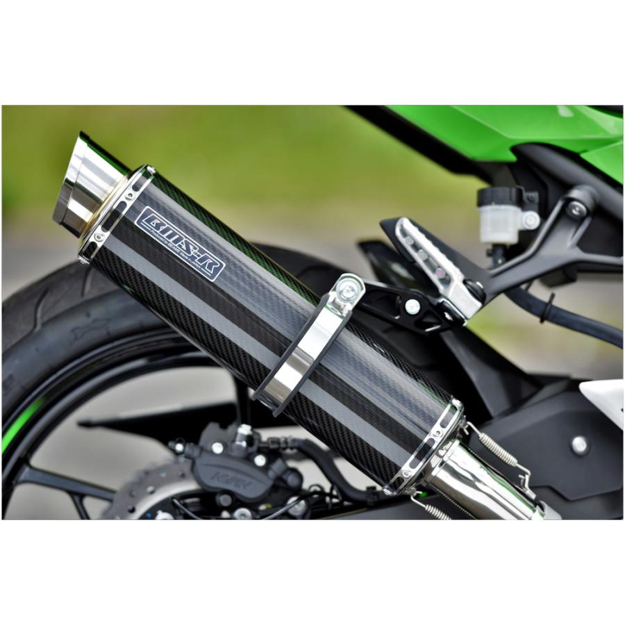 BEAMS ビームス NINJA250 8BK-EX250Y R-EVO2 カーボン