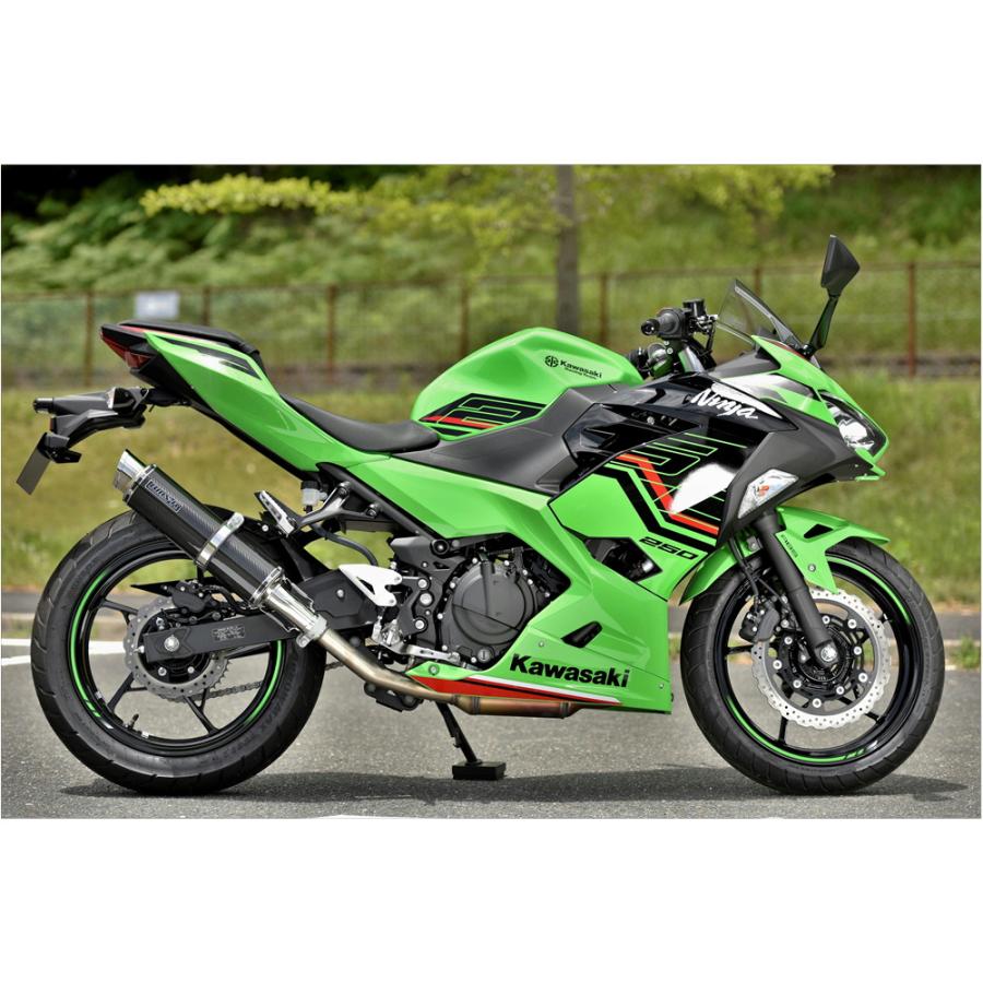BEAMS ビームス NINJA250 8BK-EX250Y R-EVO2 カーボン