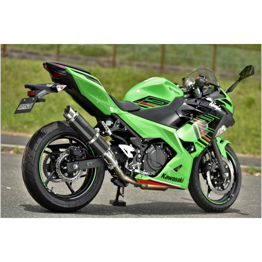 BEAMS ビームス NINJA250 8BK-EX250Y R-EVO2 カーボン