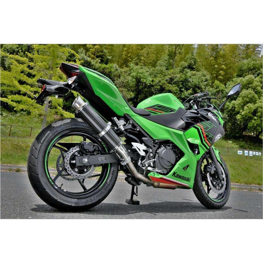 BEAMS ビームス NINJA250 8BK-EX250Y R-EVO2 カーボン