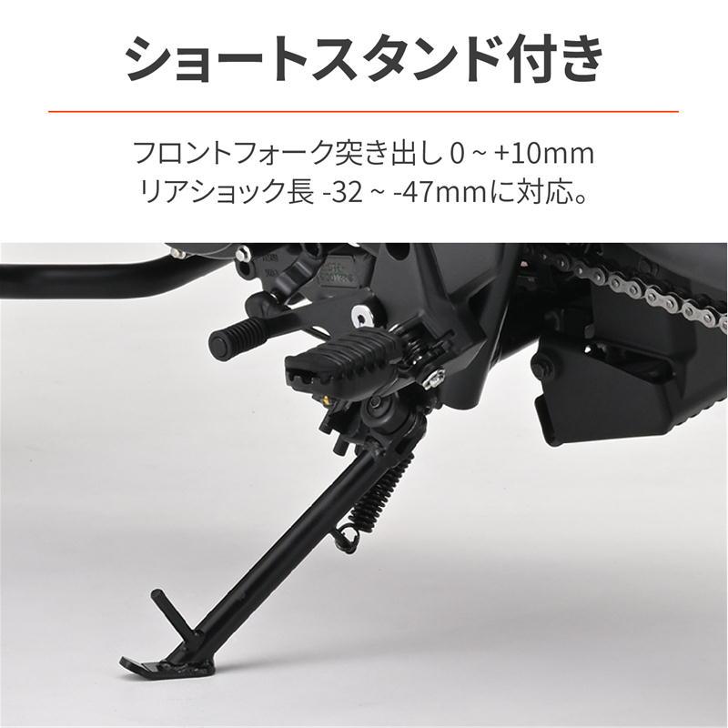 DAYTONA（デイトナ） ローダウンキット シルバーボディ/ブラック