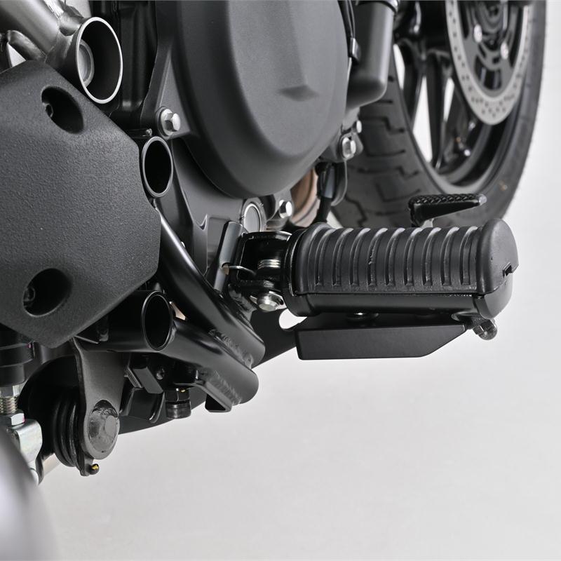 キャビテーション　マシン　2020年モデル DAYTONA（デイトナ） 振動軽減 ステップウエイト エリミネーター/SE(24