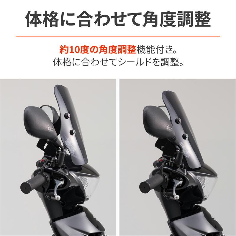 DAYTONA（デイトナ） ウインドシールドSS スモーク アドレスV125S '10