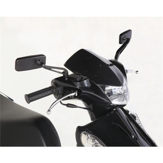 KITACO キタコ メーターバイザー カーボン アドレスV125 : ネトセトラ