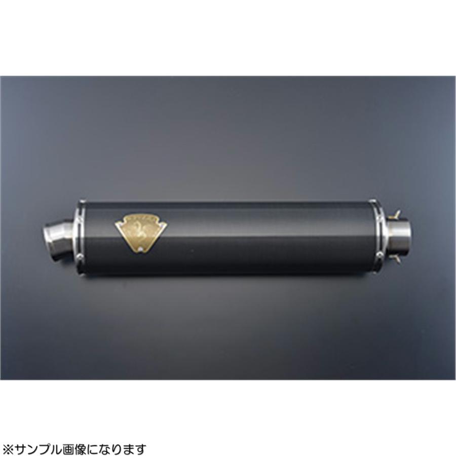 r's gear アールズギア ワイバン フルエキゾースト シングル