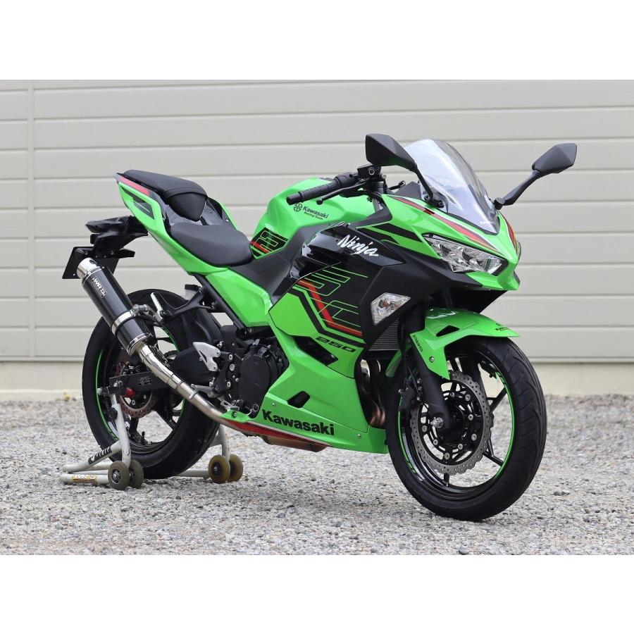 WR'S（ダブルアールズ） バイク マフラー 2018- Ninja250 (2BK-EX250P