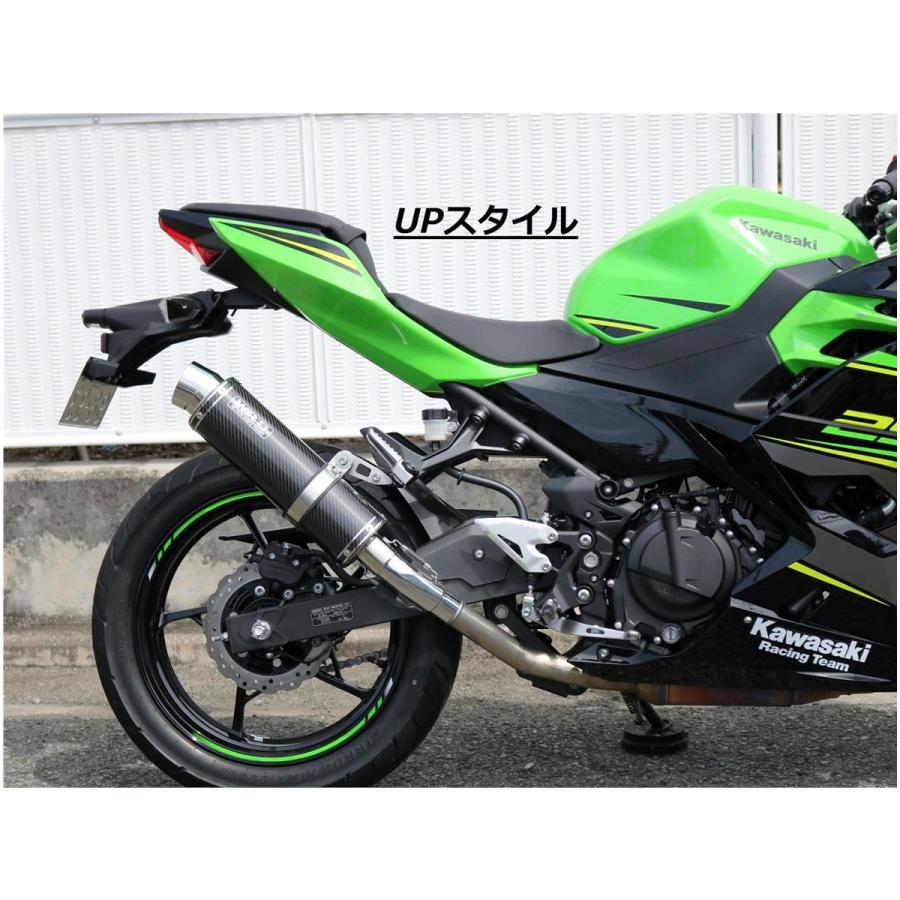 WR'S（ダブルアールズ） バイク マフラー 2018- Ninja250 (2BK-EX250P