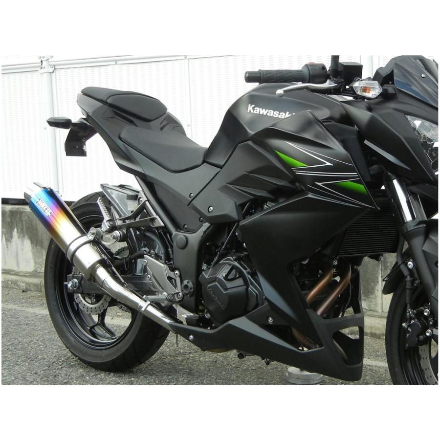 WR'S（ダブルアールズ） バイク マフラー 2013 -2017Ninja250/ABS (JBK