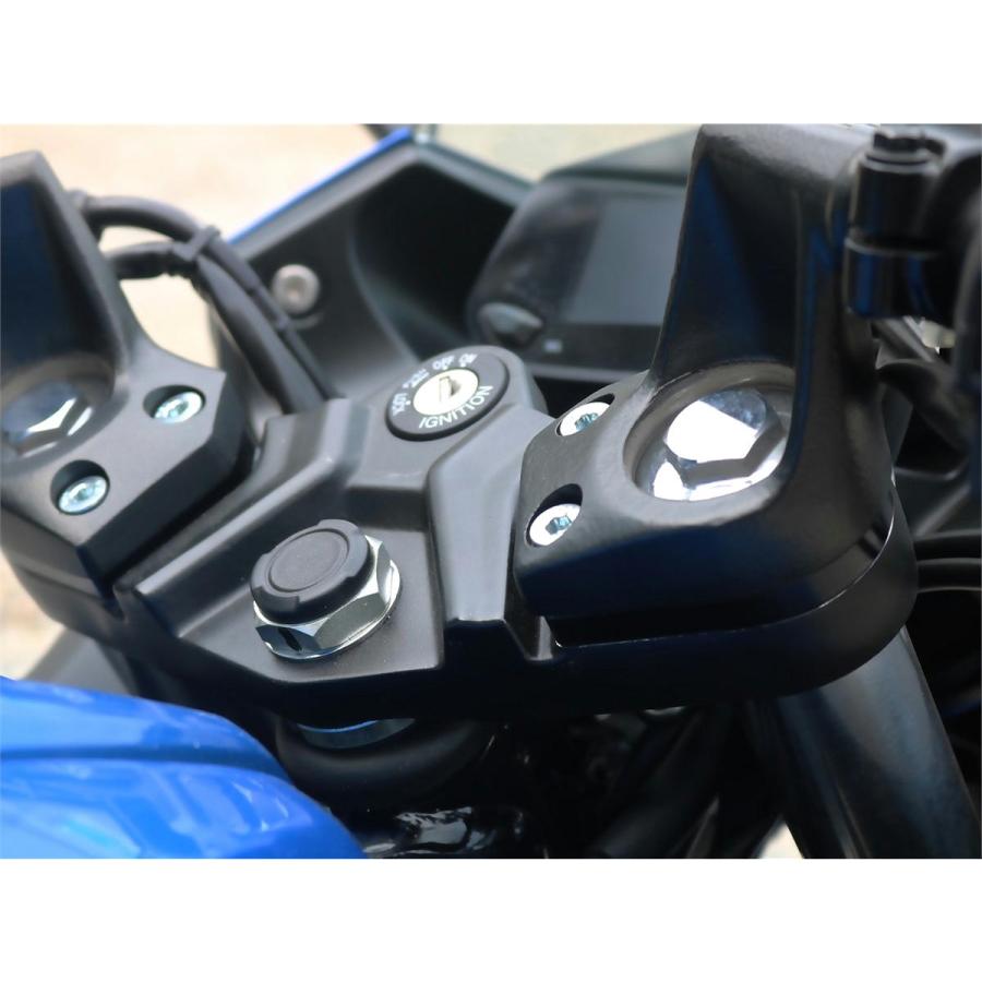 WR'Sダブルアールズ│バックステップ│ジクサーSF250 WR'S WR'S ダブルアールズ バトルステップ WS／WK カラー