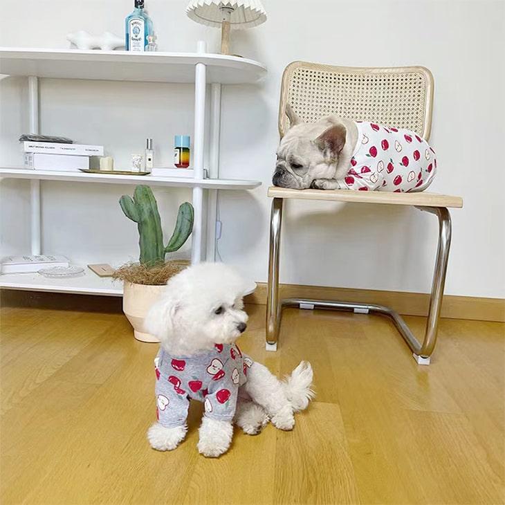 【秋冬新作】超可愛い! 小型犬 リンゴ柄 ペット服 お散歩 ドッグウェア カットソー Tシャツ ペットウェア 犬 服 サイズ豊富 メール便OK 【a004】【送料無料】 |  | 10
