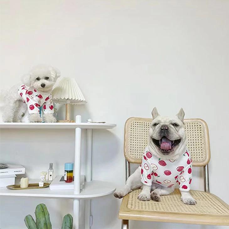 【秋冬新作】超可愛い! 小型犬 リンゴ柄 ペット服 お散歩 ドッグウェア カットソー Tシャツ ペットウェア 犬 服 サイズ豊富 メール便OK 【a004】【送料無料】 |  | 11