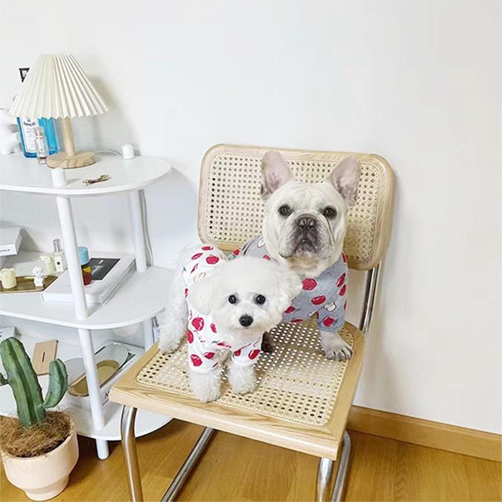 【秋冬新作】超可愛い! 小型犬 リンゴ柄 ペット服 お散歩 ドッグウェア カットソー Tシャツ ペットウェア 犬 服 サイズ豊富 メール便OK 【a004】【送料無料】 |  | 05