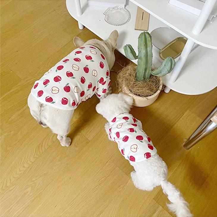 【秋冬新作】超可愛い! 小型犬 リンゴ柄 ペット服 お散歩 ドッグウェア カットソー Tシャツ ペットウェア 犬 服 サイズ豊富 メール便OK 【a004】【送料無料】 |  | 06