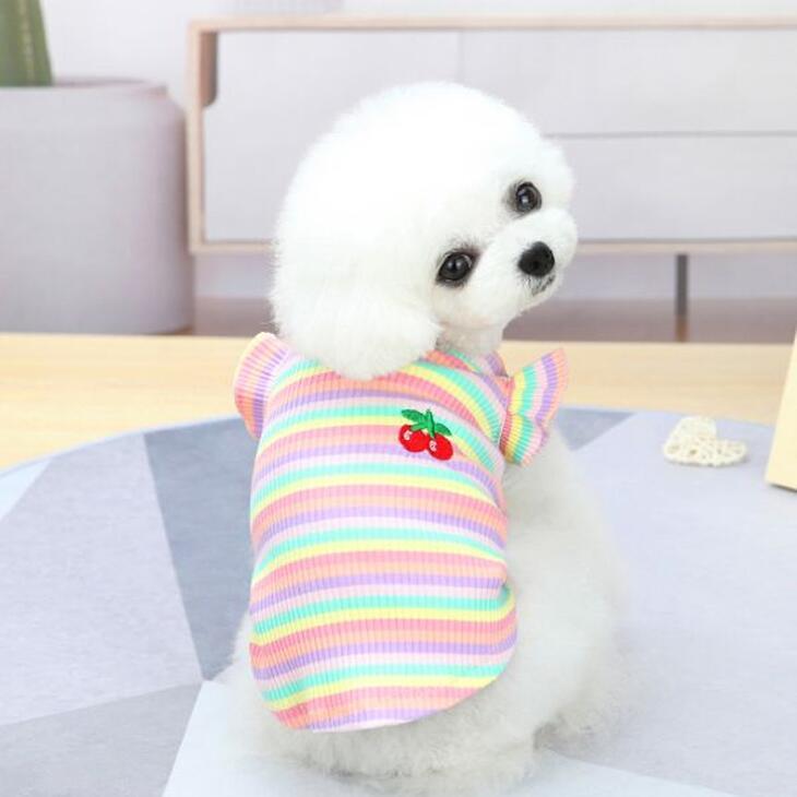 超可愛い! 犬 服 ペット服 お散歩 抜け毛防止 ドッグウェア ペットウェア エメリール Tシャツ カットソー サイズ豊富（S-2XL）メール便OK 【a050】【送料無料】 |  | 06