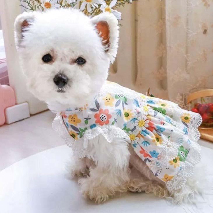 犬 服 ワンピース お出かけ お散歩 かわいい ドッグウェア ペットウェア 前開き スナップボタン付き おしゃれ 花柄 メール便OK |  | 07