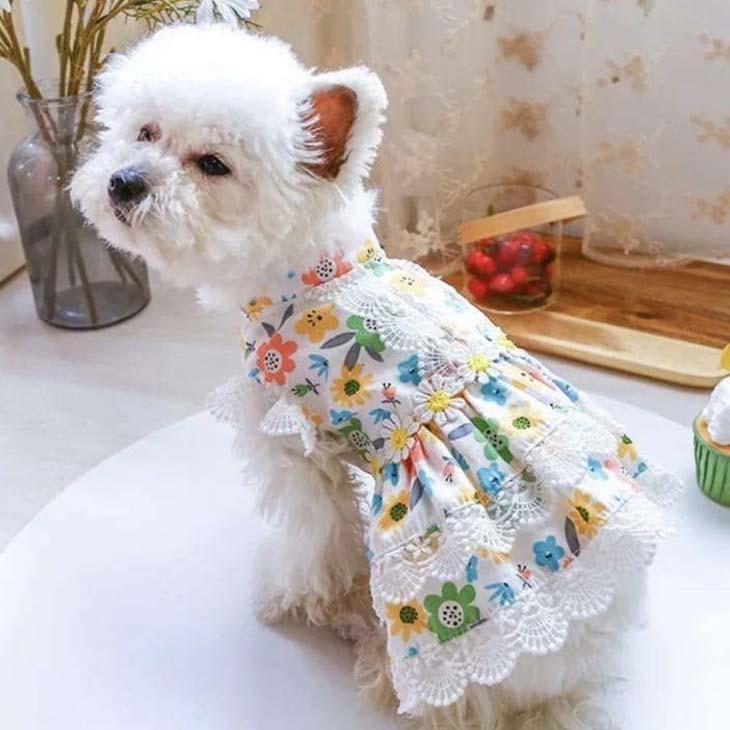 犬 服 ワンピース お出かけ お散歩 かわいい ドッグウェア ペットウェア 前開き スナップボタン付き おしゃれ 花柄 メール便OK |  | 08