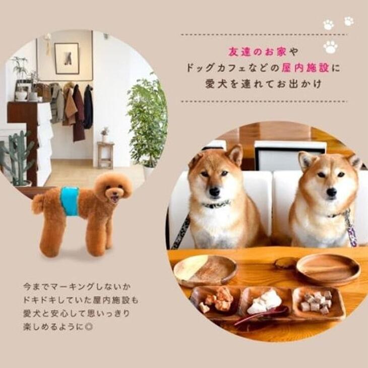 犬用 マナーベルト 犬用 マナーバンド おむつカバー トイレ おしっこ失敗 シンプル しつけ マーキング防止 介護用品 介護グッズ メール便OK 【a087】送料無料 |  | 02
