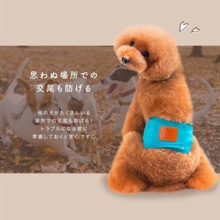 犬用 マナーベルト 犬用 マナーバンド おむつカバー トイレ おしっこ失敗 シンプル しつけ マーキング防止 介護用品 介護グッズ メール便OK 【a087】送料無料 |  | 03