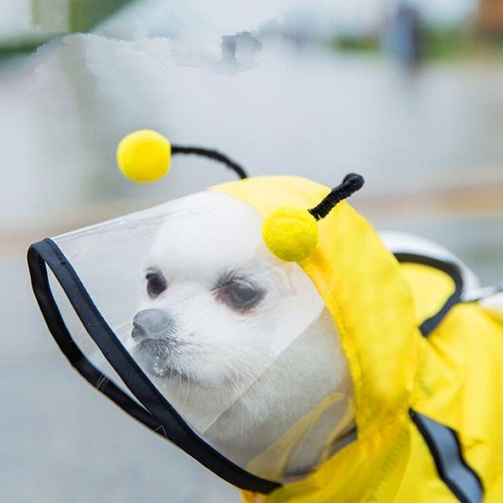 犬服 秋冬 小型犬 ハロウィン コスチューム 犬用 レインコート カッパ フード付き 仮装 雨具【a089】 |  | 03