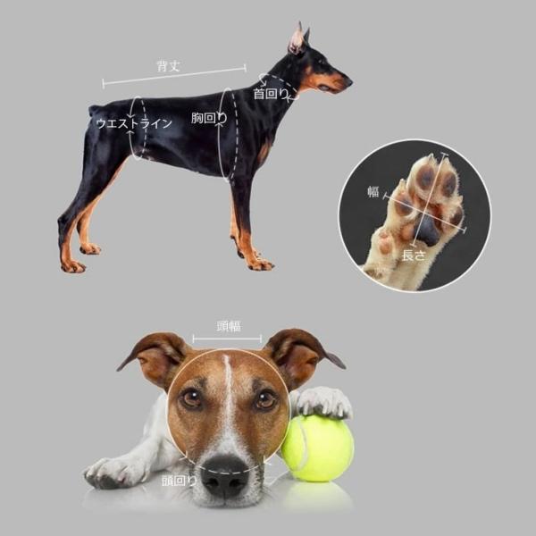 【最終値下げ】【雨対策】犬用レインコート おしゃれ 秋服 新作 フード付きウィンドブレーカー 超可愛いペットウェア サイズ豊富 メール便OK【a095】 |  | 13