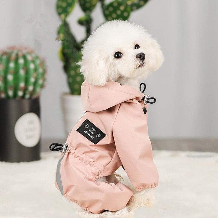 【最終値下げ】【雨対策】犬用レインコート おしゃれ 秋服 新作 フード付きウィンドブレーカー 超可愛いペットウェア サイズ豊富 メール便OK【a095】 |  | 05