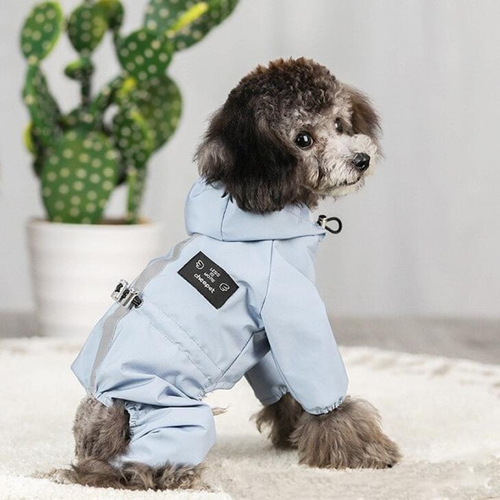 【最終値下げ】【雨対策】犬用レインコート おしゃれ 秋服 新作 フード付きウィンドブレーカー 超可愛いペットウェア サイズ豊富 メール便OK【a095】 |  | 06