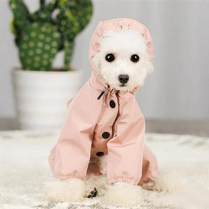 【最終値下げ】【雨対策】犬用レインコート おしゃれ 秋服 新作 フード付きウィンドブレーカー 超可愛いペットウェア サイズ豊富 メール便OK【a095】 |  | 07