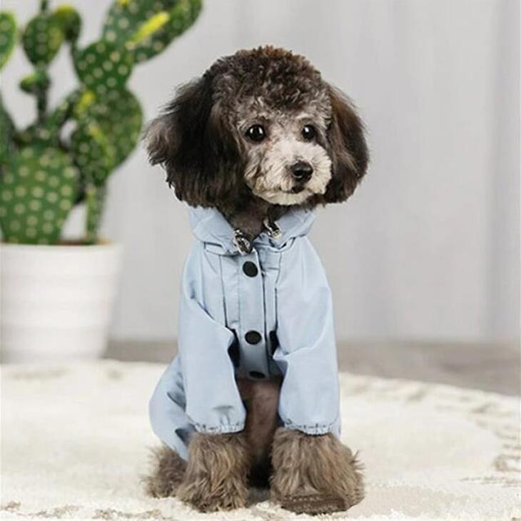 【最終値下げ】【雨対策】犬用レインコート おしゃれ 秋服 新作 フード付きウィンドブレーカー 超可愛いペットウェア サイズ豊富 メール便OK【a095】 |  | 08