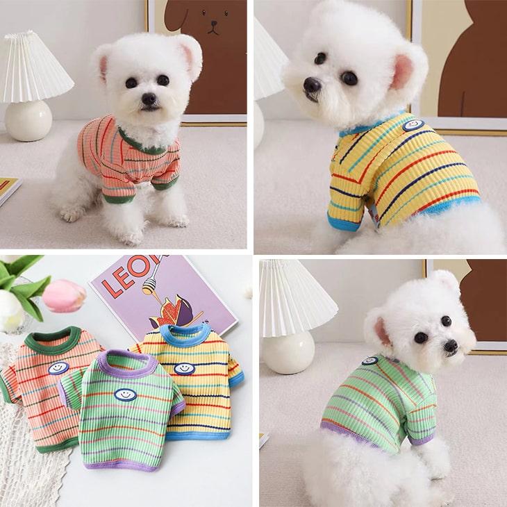 小型犬服 お散歩 お出かけ ペット服 ドッグウェア Tシャツ カットソー ペットウェア にこちゃん ボーダー 犬 服 猫服 犬用 ペット用品 メール便OK |  | 10
