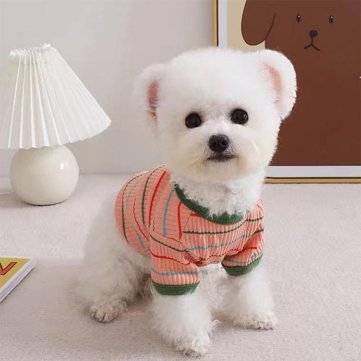 小型犬服 お散歩 お出かけ ペット服 ドッグウェア Tシャツ カットソー ペットウェア にこちゃん ボーダー 犬 服 猫服 犬用 ペット用品 メール便OK |  | 09