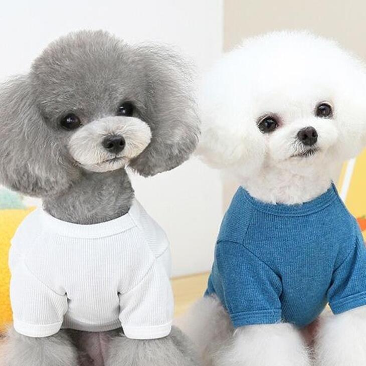 【春秋冬 新作】超可愛い! 小型犬 リンゴ柄 くまちゃん付きカットソー お散歩用 ドッグウェア サイズ豊富【a128】【送料無料】 |  | 04