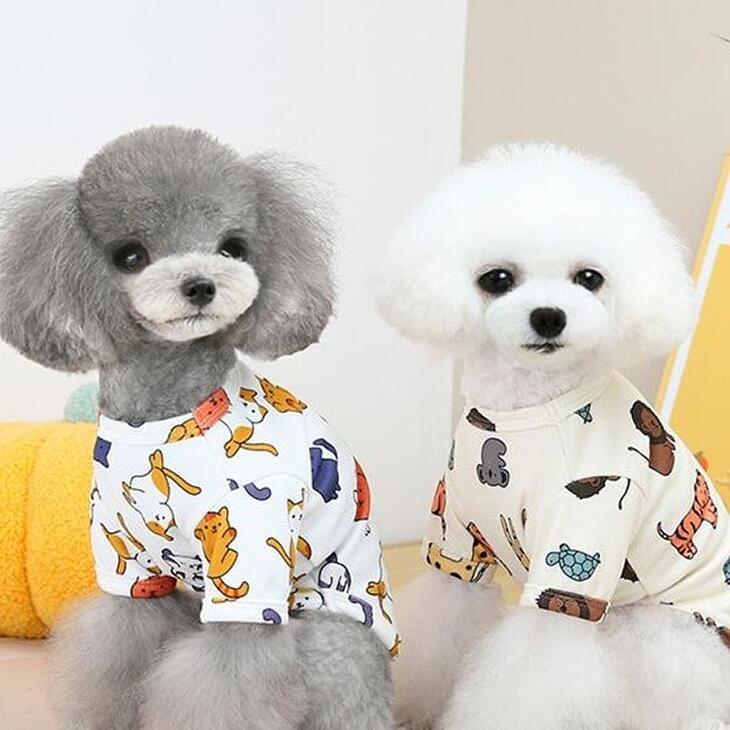 【最終値下げ】冬 犬 服 カラフル アニマル ねこちゃん 小型犬服 ペット服 ドッグウェア Tシャツ おしゃれカットソー ペットウェア 犬 服 猫服 メール便【a130】 |  | 01