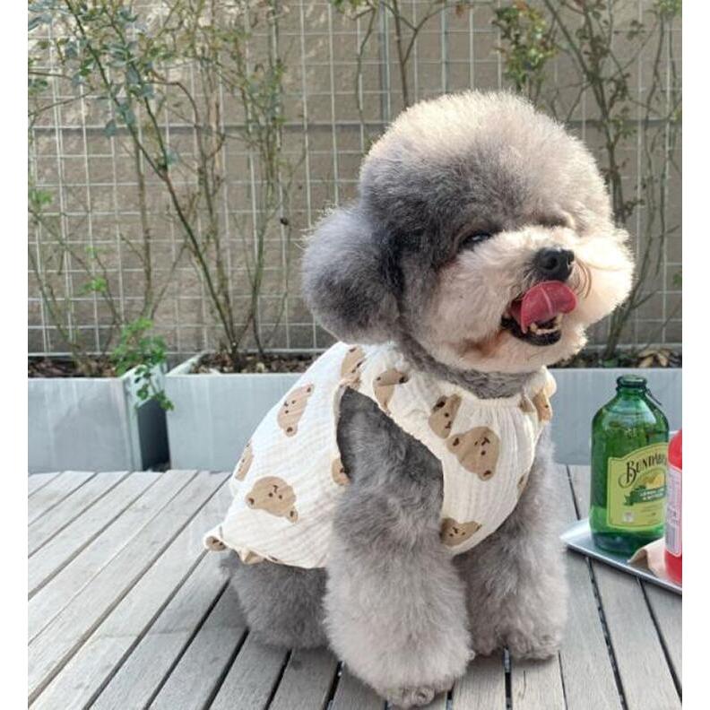 犬服 夏服 小型犬 シースルー 韓国風 お散歩 カットソー くまちゃん柄 涼しいTシャツ ペットウェア【a131】【送料無料】 |  | 04