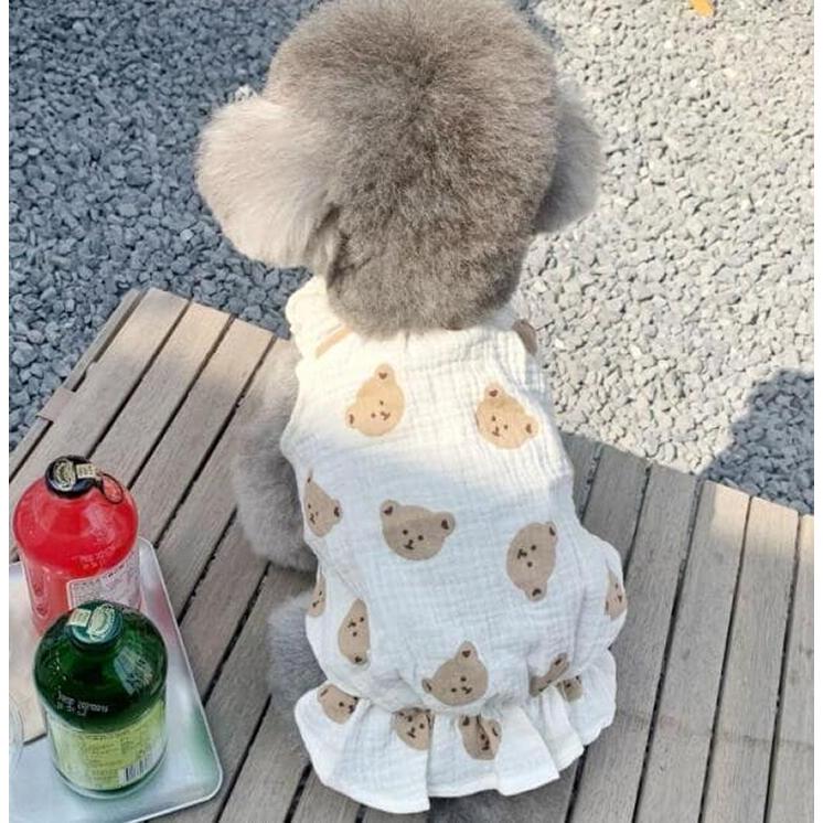 犬服 夏服 小型犬 シースルー 韓国風 お散歩 カットソー くまちゃん柄 涼しいTシャツ ペットウェア【a131】【送料無料】 |  | 12