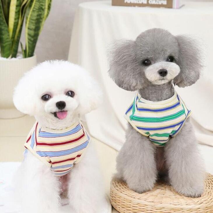 【着用動画あり】超可愛い! 小型犬用 くまちゃん柄カットソー 抜け毛防止 お散歩用 ドッグウェア サイズ豊富【a136】【送料無料】 |  | 02