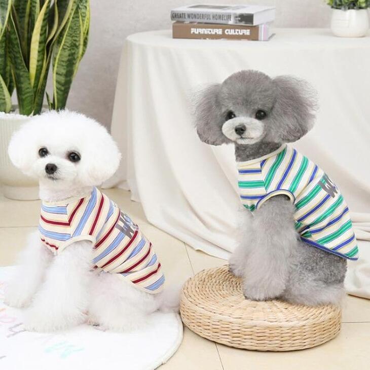 【着用動画あり】超可愛い! 小型犬用 くまちゃん柄カットソー 抜け毛防止 お散歩用 ドッグウェア サイズ豊富【a136】【送料無料】 |  | 03