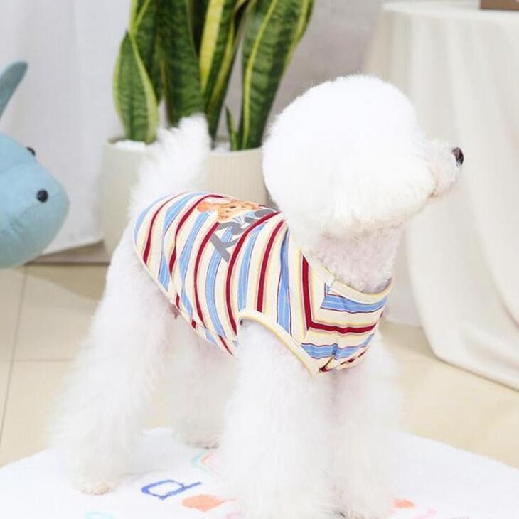 【着用動画あり】超可愛い! 小型犬用 くまちゃん柄カットソー 抜け毛防止 お散歩用 ドッグウェア サイズ豊富【a136】【送料無料】 |  | 05