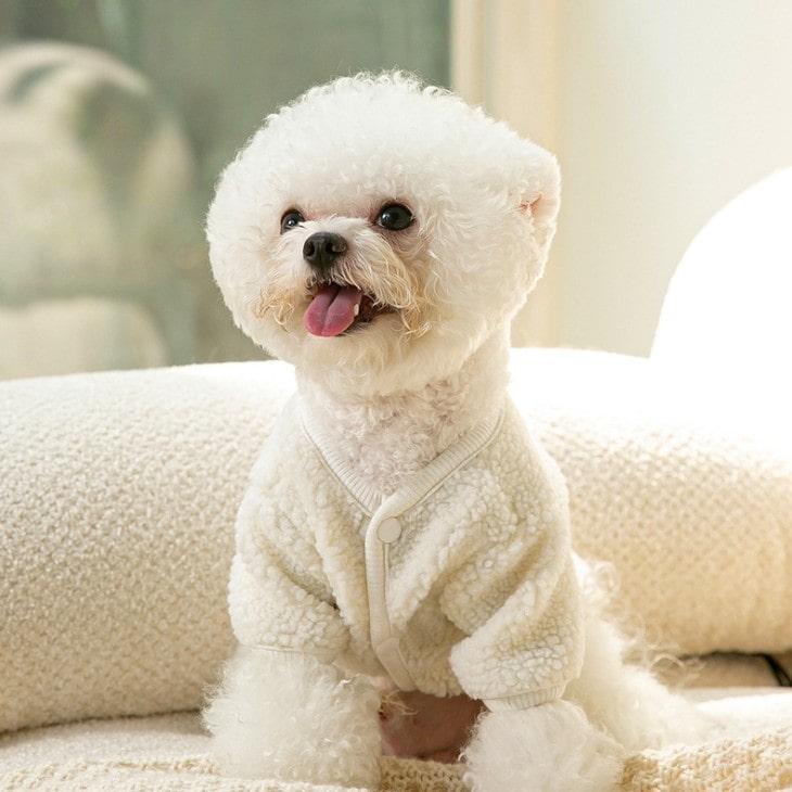 犬 服 くまちゃん柄 もこもこ 小型犬 ペットウェア お散歩 カットソー トップス ドッグウェア 抜け毛防止 ペット用品 Tシャツ メール便OK |  | 03