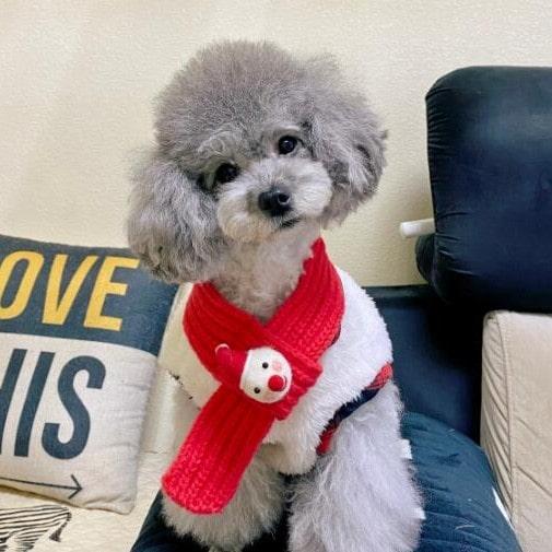 【マフラーとベスト2点セット】冬 犬 ボア ドッグウェア クリスマス アウター 秋冬 ペット服 もこもこ ネックウォーマー 防寒 可愛い マフラー |  | 01