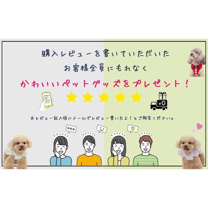 かわいい犬服 オールシーズン 秋服 カラフルTシャツ くま柄の小型犬用ドッグウェア シンプルで爽やか お出かけ・お散歩用重ね着インナー【a218】【送料無料】 |  | 10