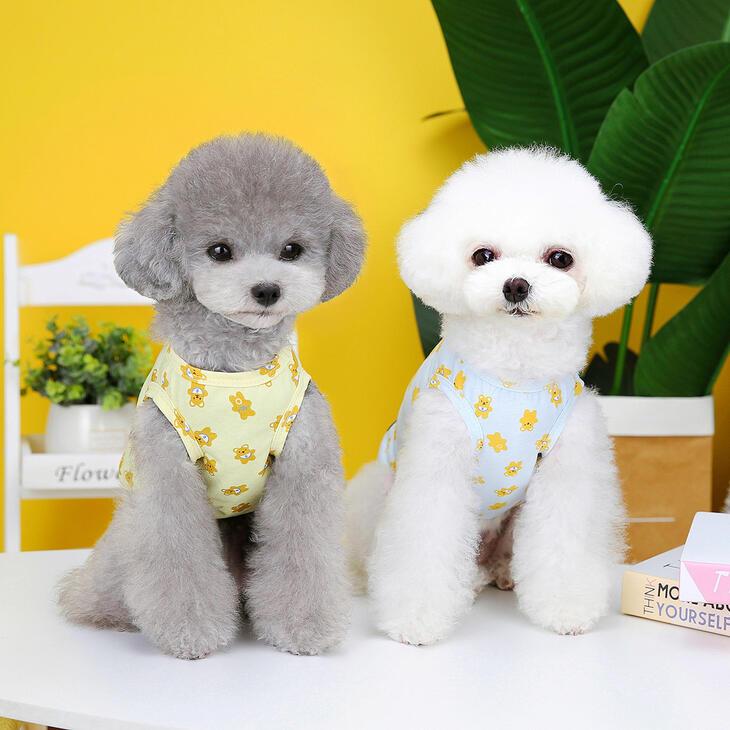 かわいい犬服 オールシーズン 秋服 カラフルTシャツ くま柄の小型犬用ドッグウェア シンプルで爽やか お出かけ・お散歩用重ね着インナー【a218】【送料無料】 |  | 01