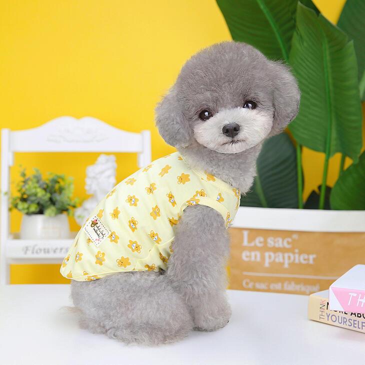 かわいい犬服 オールシーズン 秋服 カラフルTシャツ くま柄の小型犬用ドッグウェア シンプルで爽やか お出かけ・お散歩用重ね着インナー【a218】【送料無料】 |  | 02