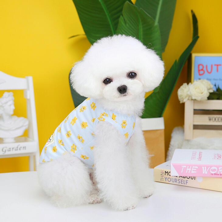 かわいい犬服 オールシーズン 秋服 カラフルTシャツ くま柄の小型犬用ドッグウェア シンプルで爽やか お出かけ・お散歩用重ね着インナー【a218】【送料無料】 |  | 03