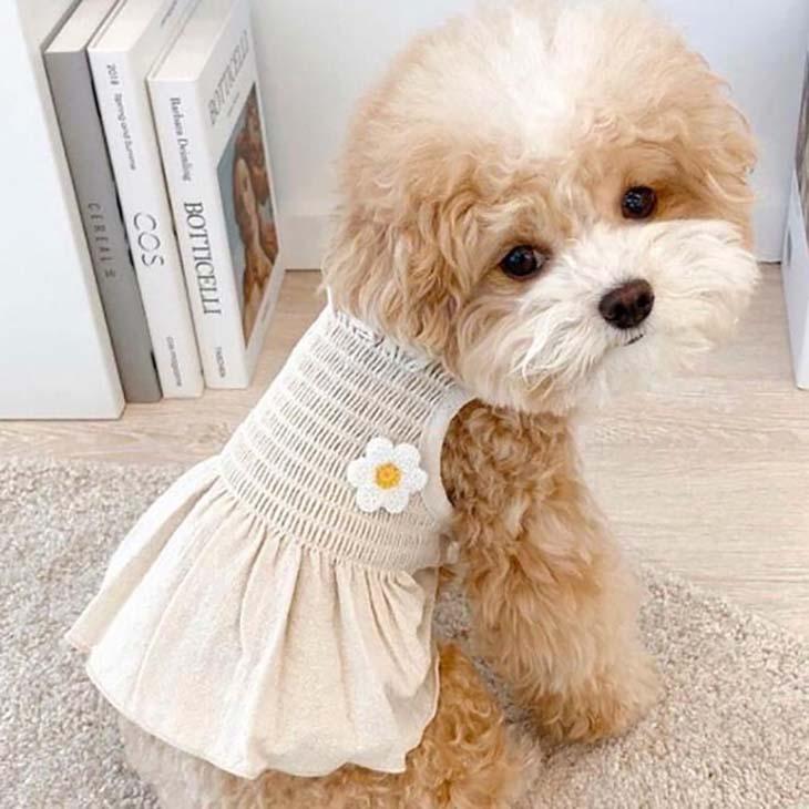 超可愛い! 小型犬用秋服 新作 アップリケキャミソール 花柄 女の子用【a256】【送料無料】 | 